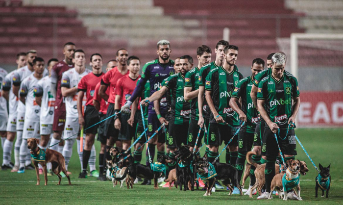 Jogadores entram com cães para adoção em partida do Campeonato Mineiro