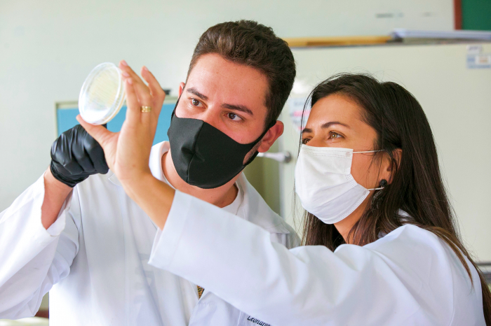 Pesquisadores catarinenses desenvolvem teste inédito para detectar Covid-19