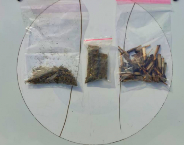 PM encontra torrões e cigarros de maconha durante abordagem em Timbó