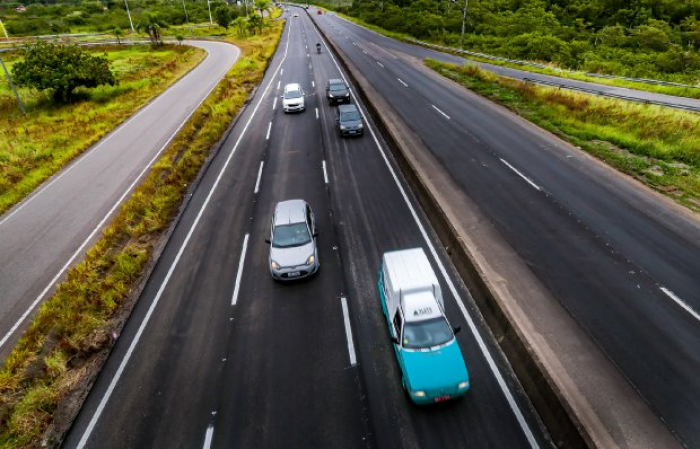 Procon notifica concessionária de rodovias por morte de cachorro atropelado 