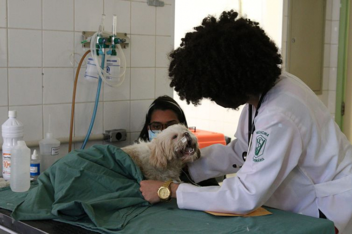 São Paulo inaugura nova unidade de hospital veterinário público
