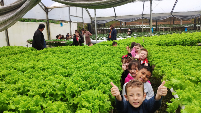 Crianças da UEI Hilário Buzzarello visitam propriedade de agricultor