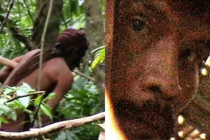 Morre último remanescente de grupo indígena isolado na Amazônia