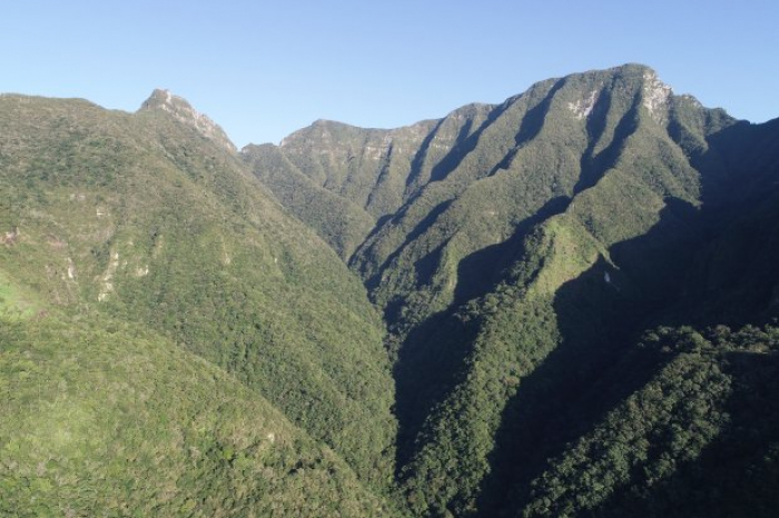 SC é o quarto estado do Brasil que mais reduziu o desmatamento