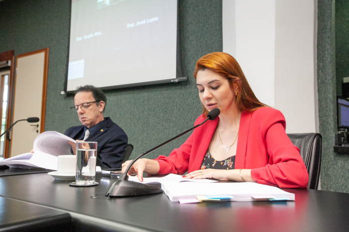 CPI do Aborto aprova relatório final