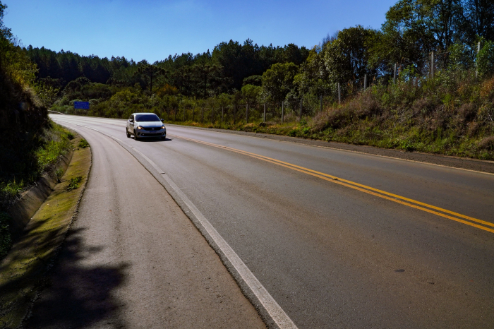 Detran elabora manual de instruções para condutores estrangeiros