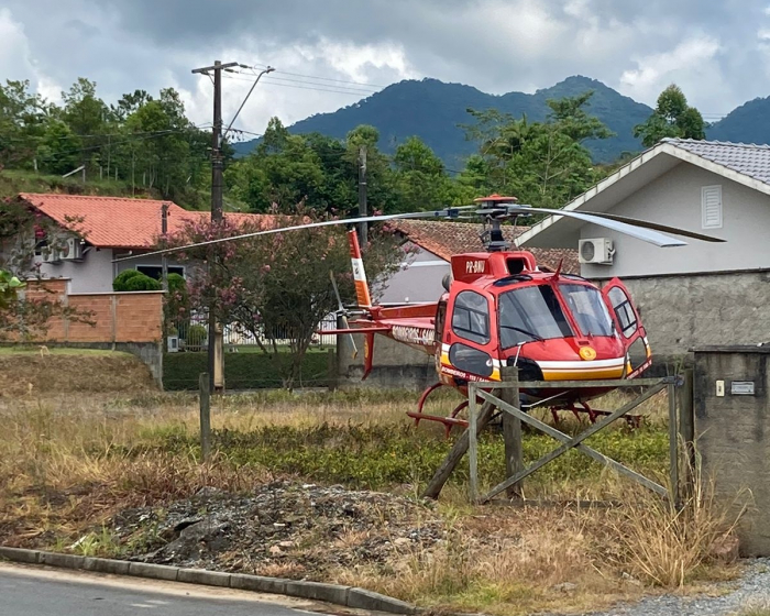 Idoso é atacado por abelhas e sofre choque anafilático após 20 picadas