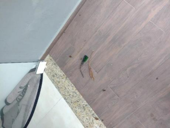 Estabelecimento comercial é arrombado e furtado em Indaial