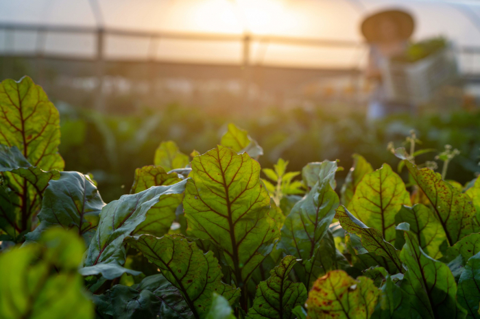 Inicia distribuição de calcário para os municípios atingidos pelas enchentes