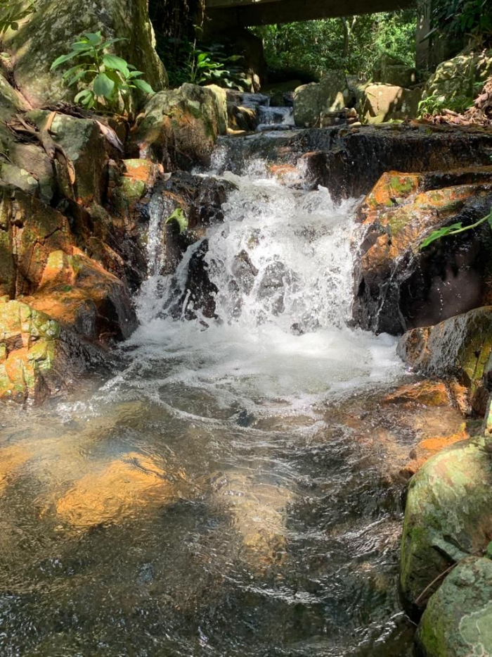 Nova turma de Psicologia Transpessoal será lançada em programação especial 