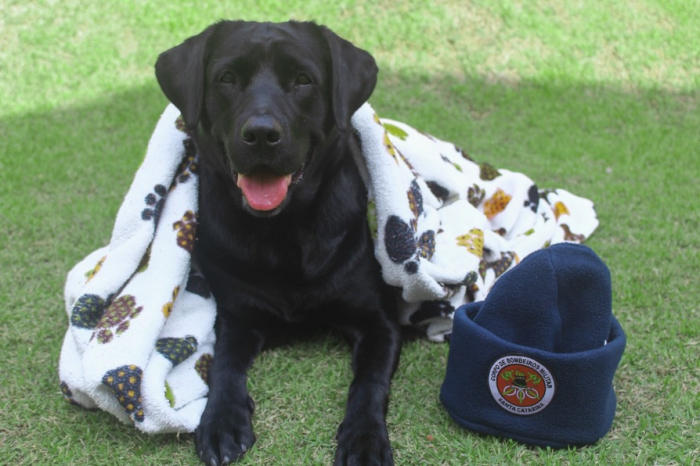 Previsão de frio intenso exige cuidados por parte da população, alerta Corpo de Bombeiros Militar