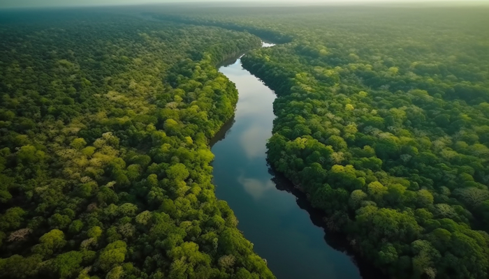 Helicóptero com três a bordo desaparece na Floresta Amazônica